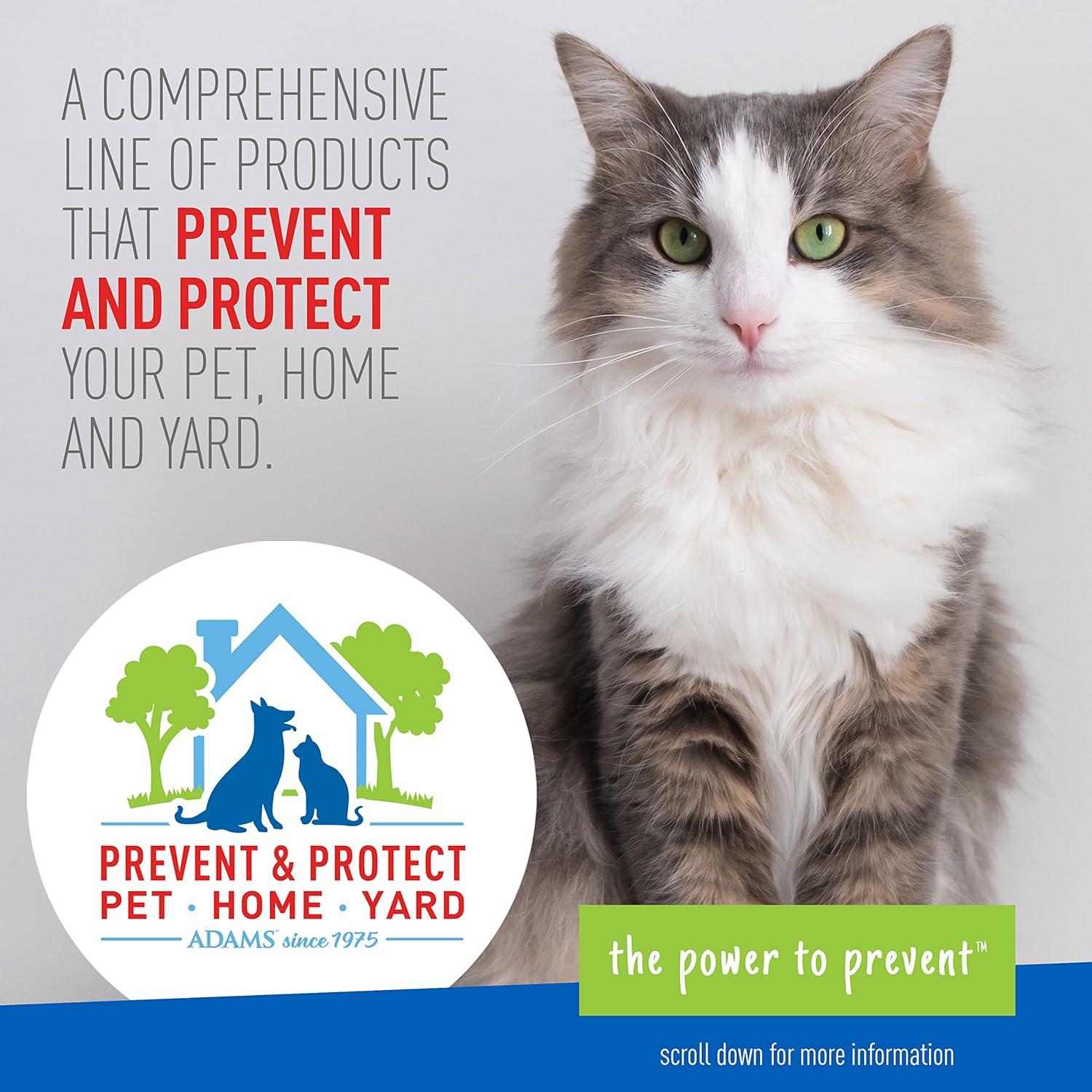 imageADAMS Plus Carpet Powder Kills Fleas and Ticks On Contact Kills All Stages of the Flea Life Cycle 30 Day Protection Freshens and Deodorizes Treats Up to 400 Sq Ft 1LBCarpet Powder Only