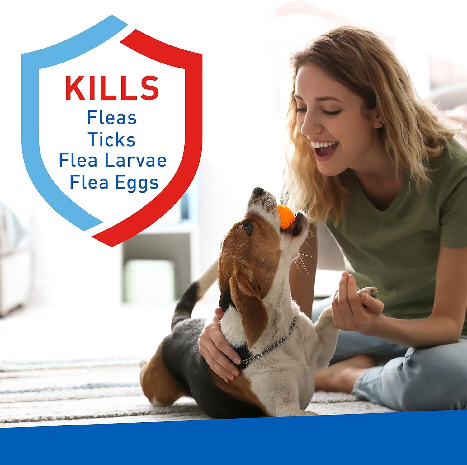 imageADAMS Plus Carpet Powder Kills Fleas and Ticks On Contact Kills All Stages of the Flea Life Cycle 30 Day Protection Freshens and Deodorizes Treats Up to 400 Sq Ft 1LBCarpet Powder Only