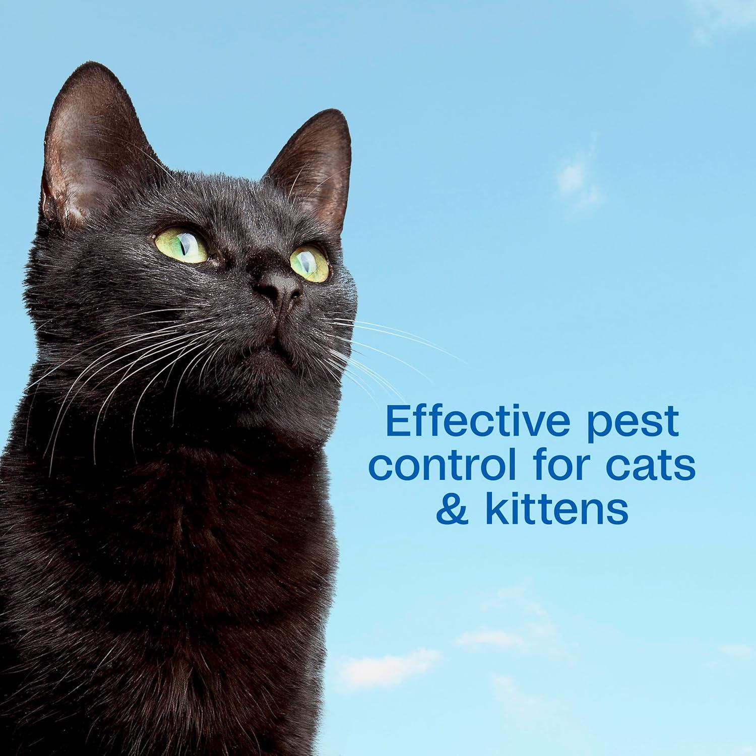 imageADAMS Plus Flea ampamp Tick Foaming Shampoo ampamp Wash for Cats ampamp Kittens Over 12 Weeks Sensitive Skin Flea Treatment for Cats ampamp Kittens Kills Adult Fleas Ticks and Lice On Contact 10 Ounces