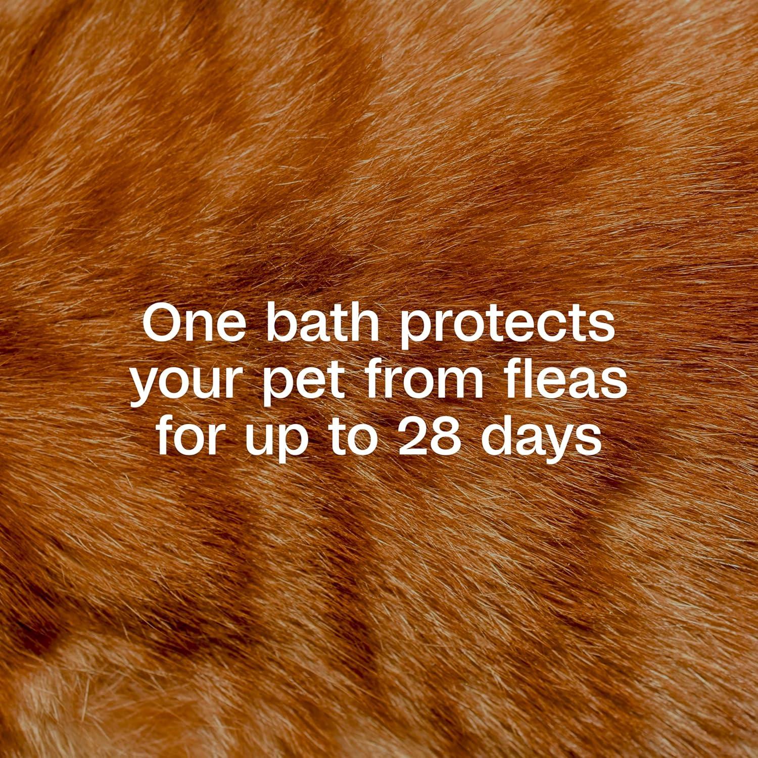 imageADAMS Plus Flea ampamp Tick Foaming Shampoo ampamp Wash for Cats ampamp Kittens Over 12 Weeks Sensitive Skin Flea Treatment for Cats ampamp Kittens Kills Adult Fleas Ticks and Lice On Contact 10 Ounces