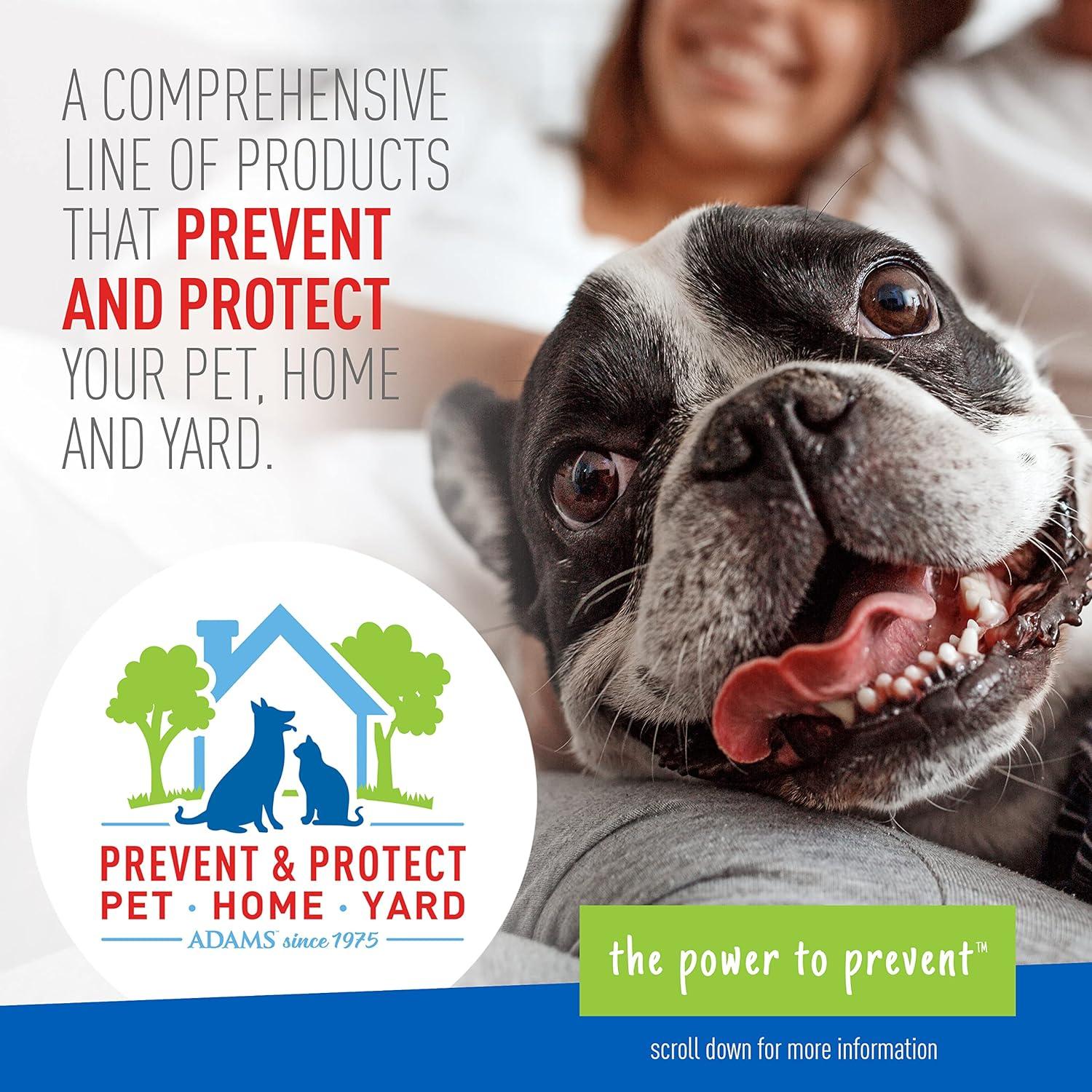 imageAdams Flea ampamp Tick Home Spray with Precor Kills Fleas Flea Eggs Flea Larvae Bed Bugs Ticks Ants Cockroaches Spiders Mosquitoes And Many Other Listed Nuisance Pests In The Home 24 Fl Oz
