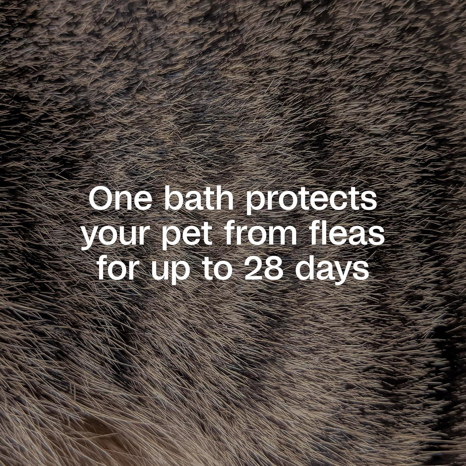 imageAdams Plus Flea ampamp Tick Shampoo with Precor for Cats Kittens Dogs ampamp Puppies Over 12 Weeks Of Age Sensitive Skin Flea Treatment for Dogs ampamp Cats Kills Adult Fleas Flea Eggs Ticks and Lice 6 Oz24 Ounces