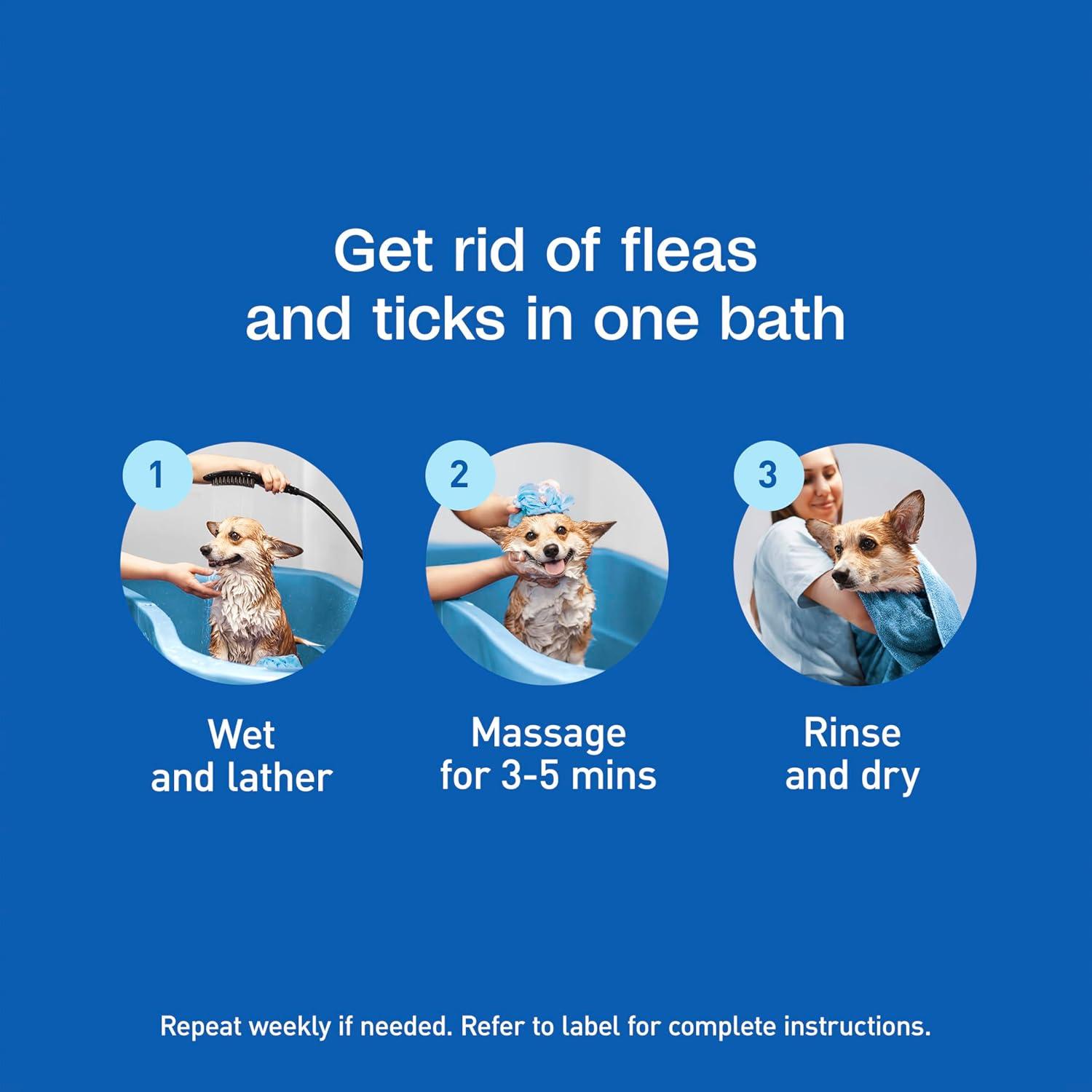 imageAdams Plus Flea ampamp Tick Shampoo with Precor for Cats Kittens Dogs ampamp Puppies Over 12 Weeks Of Age Sensitive Skin Flea Treatment for Dogs ampamp Cats Kills Adult Fleas Flea Eggs Ticks and Lice 6 Oz24 Ounces