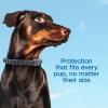 imageADAMS Flea ampamp Tick Collar Plus for Dogs ampamp Puppies 6Month Protection One Size Fits All Dogs ampamp Puppies Kills Fleas ampamp Ticks Repels Mosquitoes For Up To 6 Months Excluding California