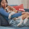 imageADAMS Flea ampamp Tick Collar Plus for Dogs ampamp Puppies 6Month Protection One Size Fits All Dogs ampamp Puppies Kills Fleas ampamp Ticks Repels Mosquitoes For Up To 6 Months Excluding California