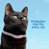 imageADAMS Plus Flea ampamp Tick Collar for Cats Breakaway Collar 1 White Collar 7Month Protection Kills ampamp Repels Fleas Flea Eggs Flea Larvae and Kills Ticks Tick Nymphs and Tick LarvaeAll Sizes