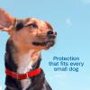 imageADAMS Plus Flea ampamp Tick Collar for Dogs 7Month Protection Adjustable Collar Fits Small Dogs ampamp Puppies Kills Fleas ampamp Ticks