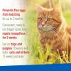 imageADAMS Plus Flea ampamp Tick Dog and Cat Spray Kills Fleas Ticks and Mosquitoes 16 fl oz32 Ounces