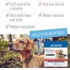 imageAdams Plus Flea Collar  Shampoo Bundle