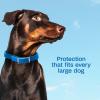 imageAdams Plus Flea ampamp Tick Collar for Dogs 7Month Protection Adjustable Collar Fits Large Dogs ampamp Puppies Kills ampamp Repels Fleas Flea Eggs Flea Larvae and Ticks Kills Tick Larvae and Tick Nymphs Blue