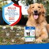 imageAdams Plus Flea ampamp Tick Prevention Spot On for Dogs 61150 Pounds 12 Weeks ampamp Older 3Month Supply Kills Fleas Flea Eggs Flea Larvae ampamp Brown Dog ampamp Deer Ticks Kills ampamp Repels Mosquitoes For 30 DaysLarge Dog 3150 Pounds