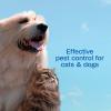 imageAdams Plus Flea ampamp Tick Shampoo with Precor for Cats Kittens Dogs ampamp Puppies Over 12 Weeks Of Age Sensitive Skin Flea Treatment for Dogs ampamp Cats Kills Adult Fleas Flea Eggs Ticks and Lice 6 Oz24 Ounces