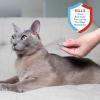 imageAdams Plus Flea ampamp Tick Spot On for Cats Over 25 lbs but Under 5 Pounds 3 Month Supply