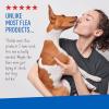 imageAdams Plus Pyrethrin Dip For Dogs and Cats  Kills and Repels Fleas Ticks Lice Gnats Mosquitoes and Flies  4 Fl Oz