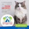imageAdams Plus Pyrethrin Dip For Dogs and Cats  Kills and Repels Fleas Ticks Lice Gnats Mosquitoes and Flies  4 Fl Oz
