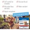 imageAdams Plus Shampoo 12 oz  Flea ampamp Tick Collar