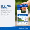 imageAdams Plus Yard Spray  Kills Mosquitoes Fleas Ticks Ants And Many Other Listed Nuisance Pests in Outdoor Areas  Treats Up to 5000 Square Feet  Easy To Use HoseEnd Spray  32 Fl Oz