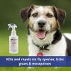 imageFarnam Flea Halt WaterBased Flea ampamp Tick Spray for Dogs Plus Citronella Scent 40 fl oz
