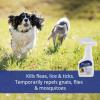 imageFarnam FlysOff Insect Repellent for Dogs and Cats 6 Fluid Ounces6 fl oz Pack of 2