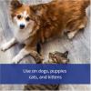 imageFarnam FlysOff Insect Repellent for Dogs and Cats 6 Fluid Ounces6 fl oz Pack of 2