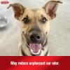 imageSulfodene Ear Cleaner for Dogs ampamp Cats 4oz