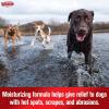 imageSulfodene Hot Spot ampamp Itch Relief Medicated Spray for Dog 8oz