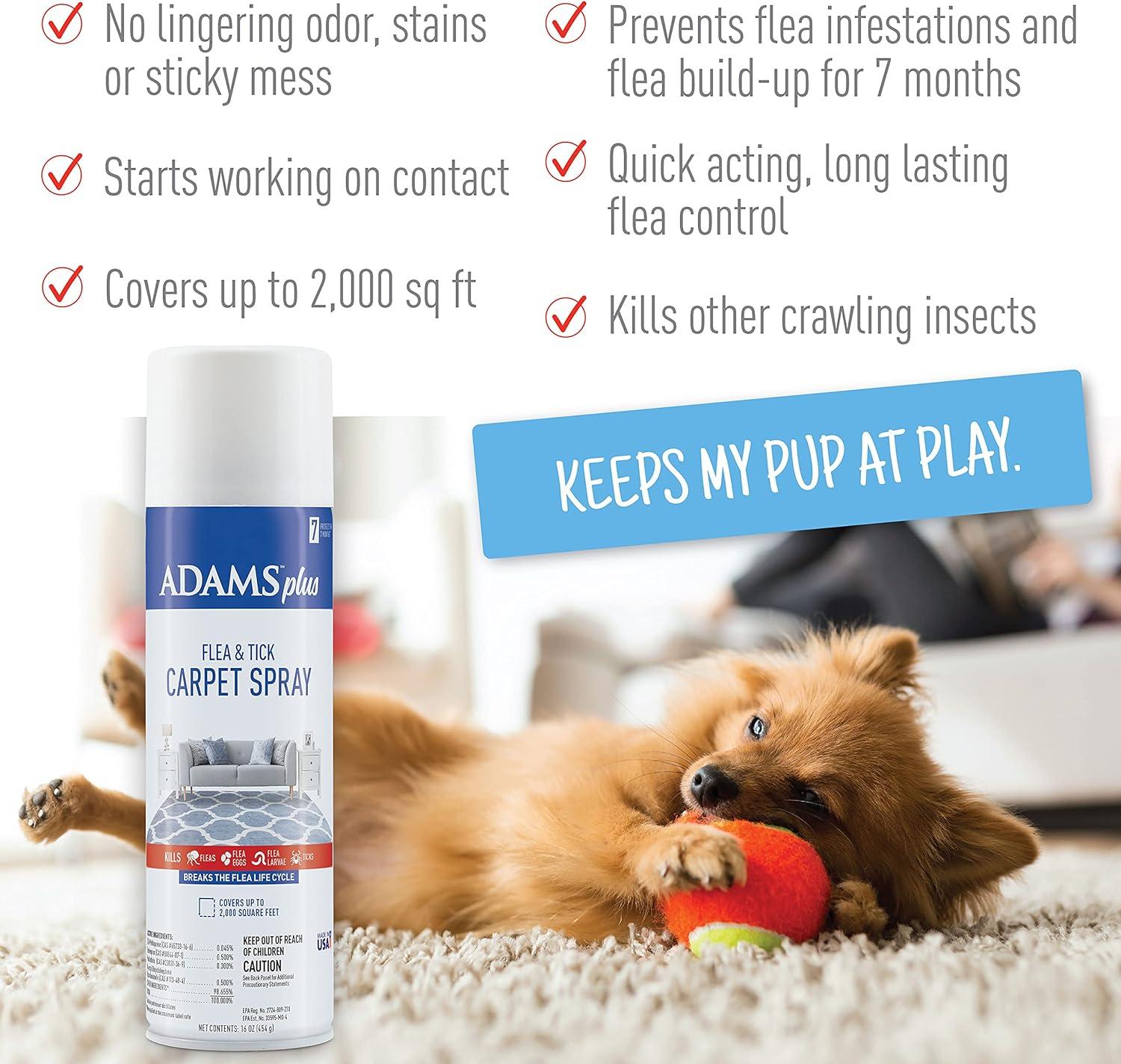 imageAdams Carpet Spray  Shampoo BundleShampoo Bundle
