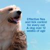 imageADAMS Plus with Botanicals Flea amp Tick Shampoo for Cats Kittens Dogs amp Puppies Over 12 Weeks of Age Kills Adult Fleas Flea Eggs Ticks and Lice 16 fl oz